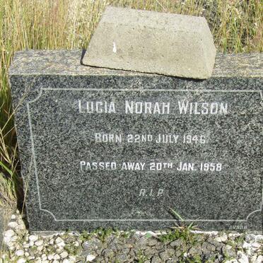 WILSON Lucia Norah 1946-1958
