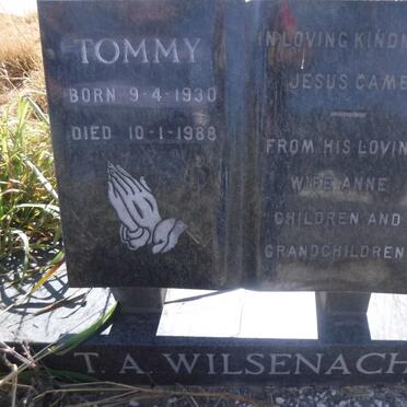 WILSENACH T.A. 1930-1988