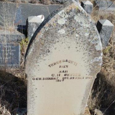 BESTER G.H. 1837-1915