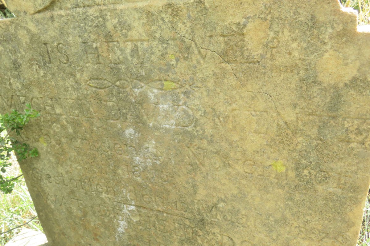 MENTZ Mechiel David 1875-1878