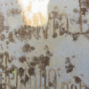 HENNING Sovia Elizabeth nee POTGIETER 1825-1888