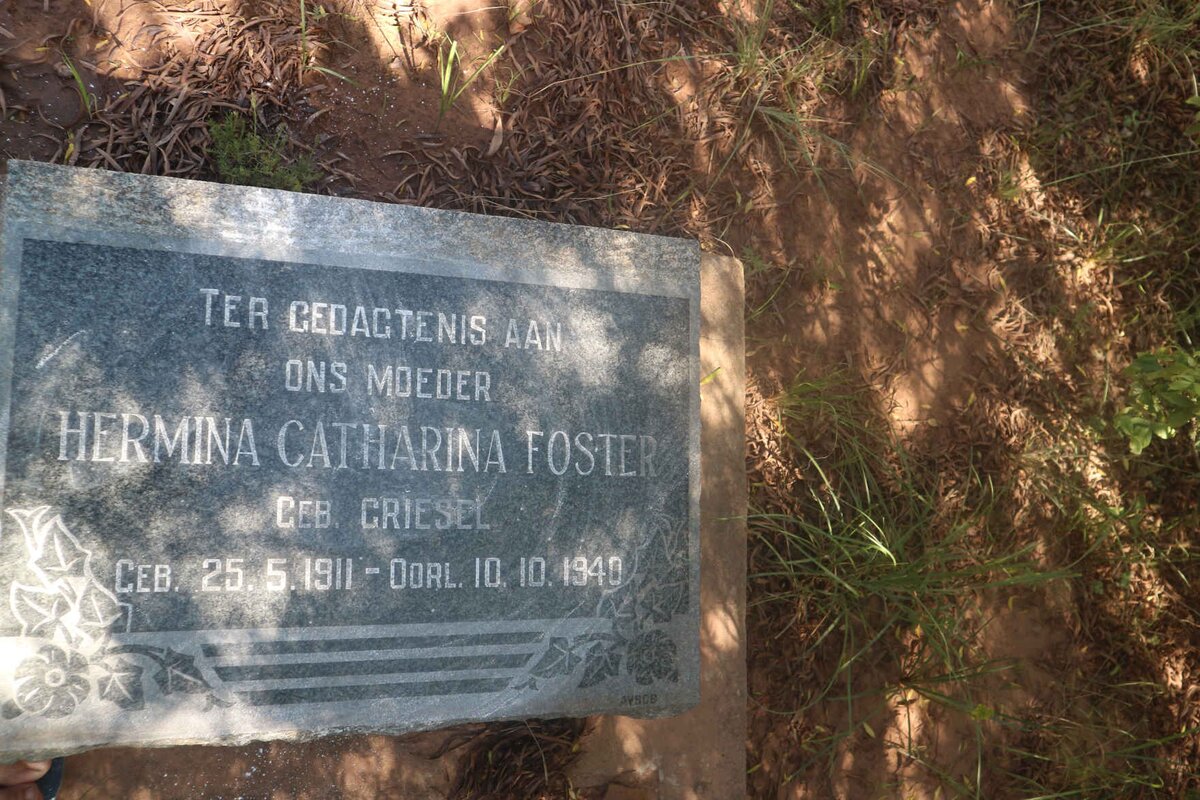 FOSTER Hermina Catharina nee GRIESEL 1911-1940
