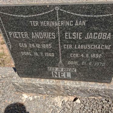 NEL Pieter Andries 1885-1960 &amp; Elsie Jacoba LABUSCHAGNE 1892-1970