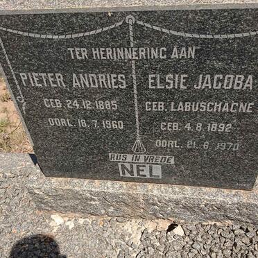 NEL Pieter Andries 1885-1960 &amp; Elsie Jacoba LABUSCHAGNE 1892-1970