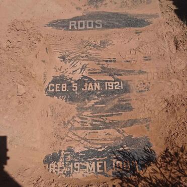 ROOS Cornelis Johannes 1921-1960