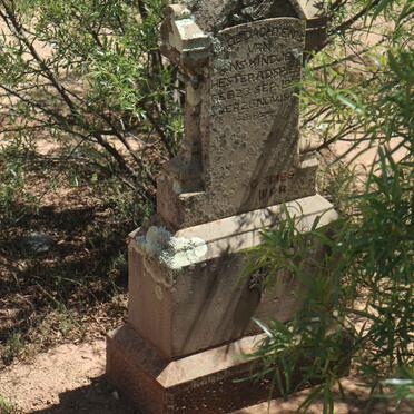 SPIES Hester A.D. 1913-1914