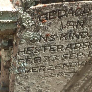 SPIES Hester A.D. 1913-1914