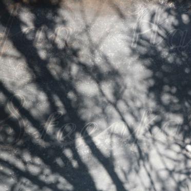 DÜRR Henricus Jacobus Storm 1883-1968 &amp; Esther Johanna LATEGAN 1894-1981