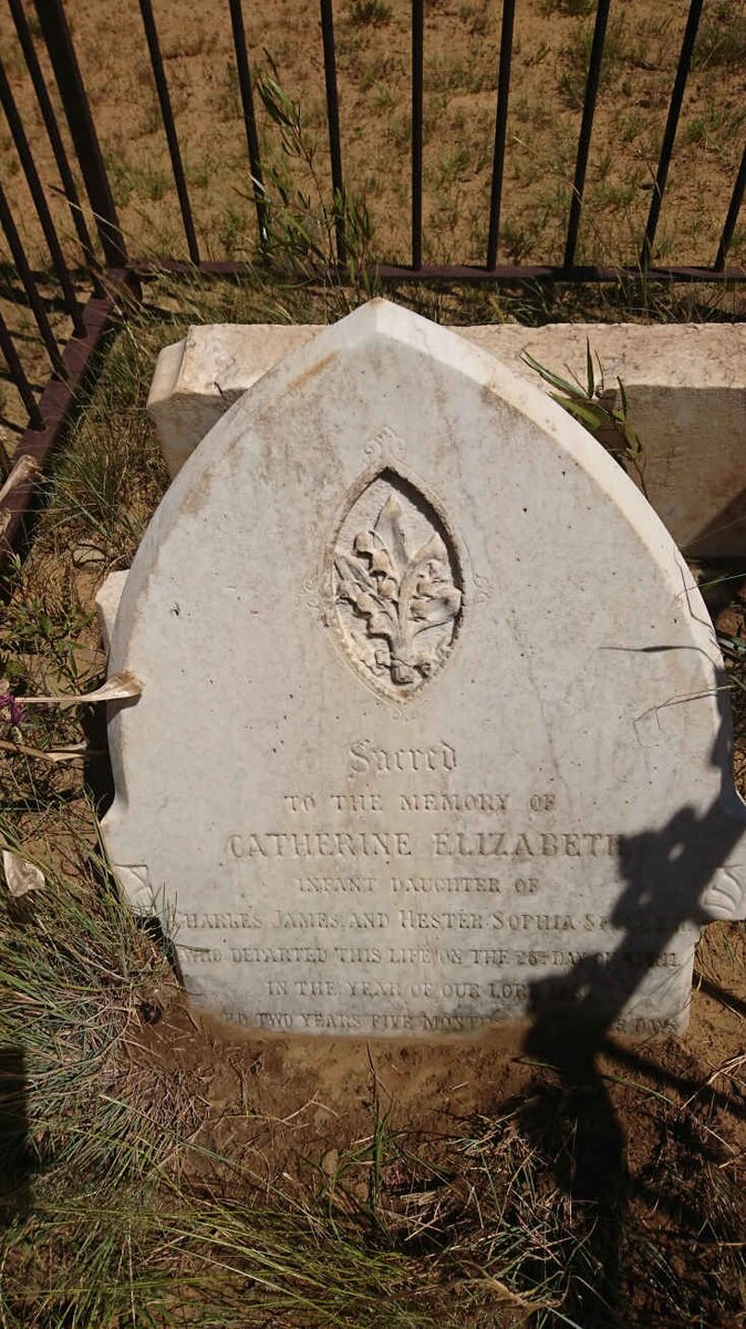 SPILLER Catherine Elizabeth -1882