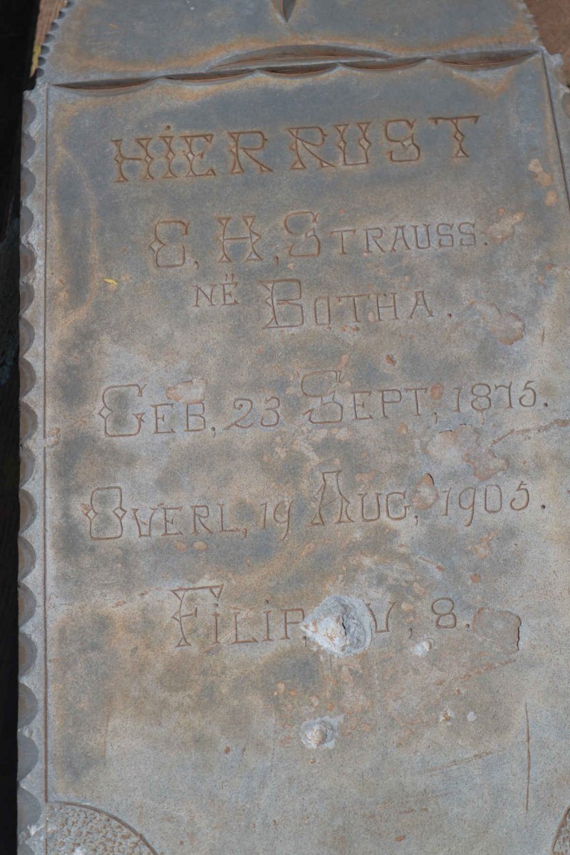STRAUSS C.H. nee BOTHA 1875-1905
