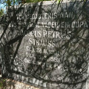 STRAUSS Jacobus Petrus 1901-1958