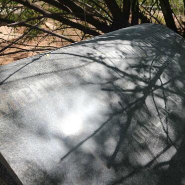 WALT Michiel Jacobus, van der 1894-1976