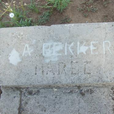 BEKKER A. :: MAREE