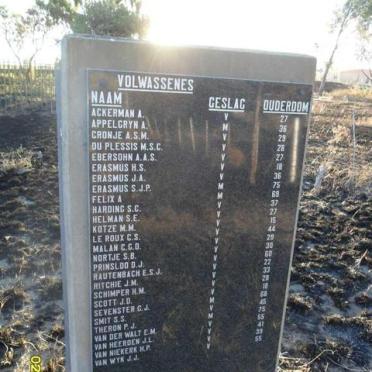 1. Memorial - Adults