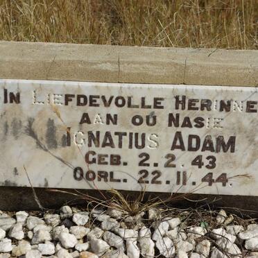 ADAM Ignatius 1943-1944