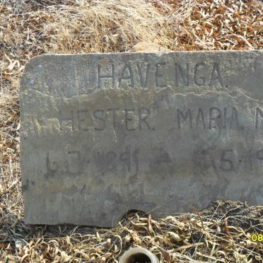 HAVENGA Hester Maria M. 1891-1931