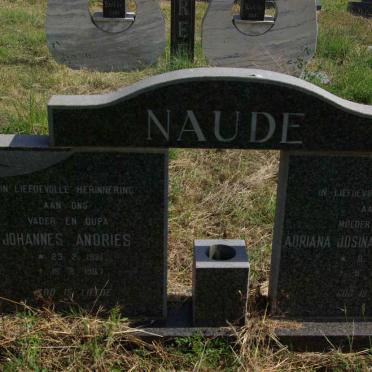 N - Vanne :: Surnames - N