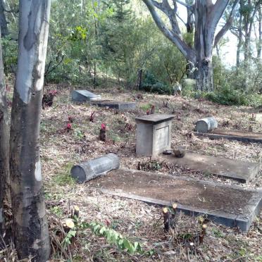 Free State, ZASTRON district, Highlands 266, farm cemetery