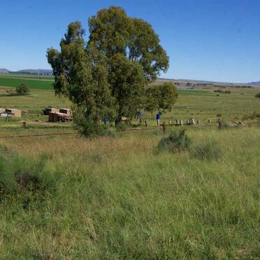 Free State, ZASTRON district, Morezon 180, Moreson, farm cemetery