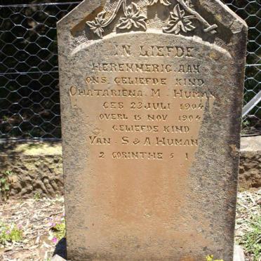 HUMAN Chatariena M. 1904-1904
