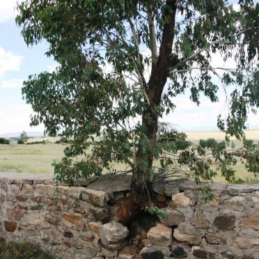 2. Overview / Oorsig