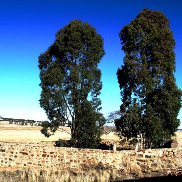 1. Overview / Oorsig