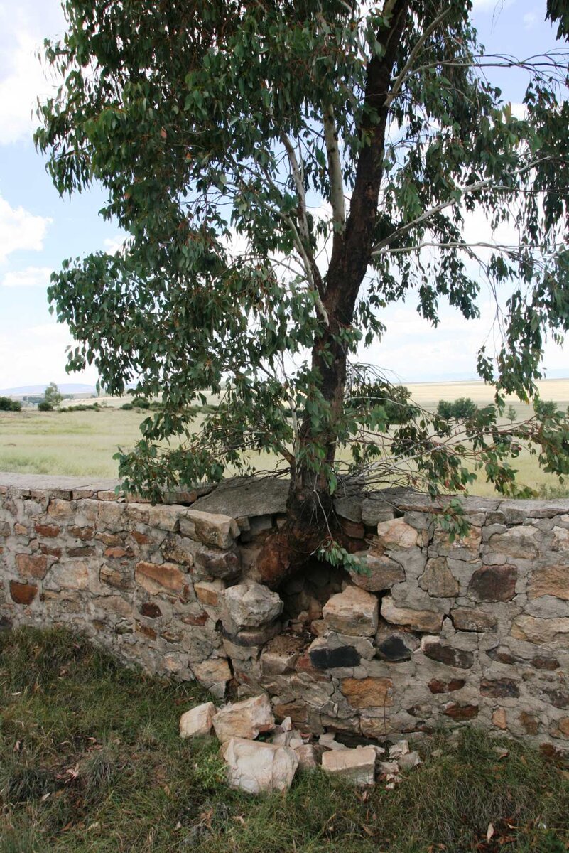 2. Overview / Oorsig