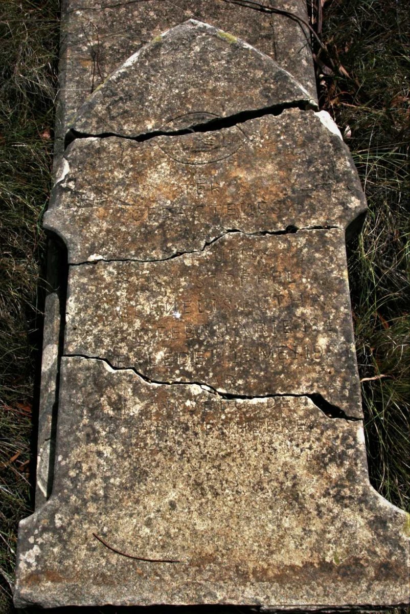 BOTHA Marthinus Christoffel Cornelus 1842-1932