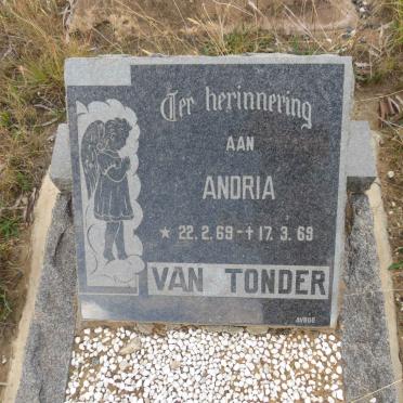 TONDER Andria, van 1969-1969