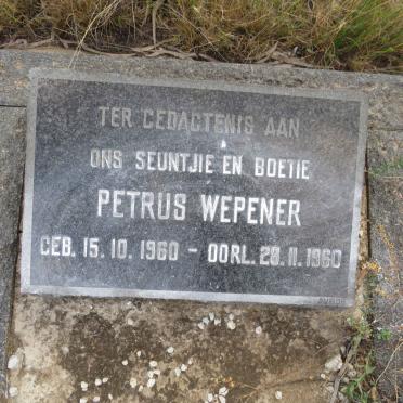 WEPENER Petrus 1960-1960