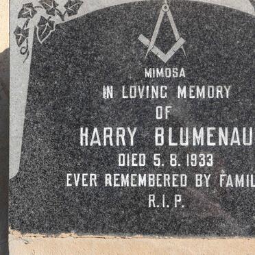 BLUMENAU Harry -1933