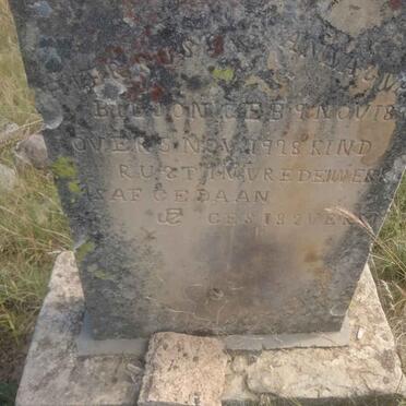 BILJON Anna, van 1899-1928