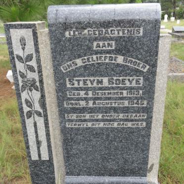 BOEYE Steyn 1913-1946