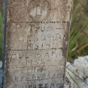 COETZER Petrus 1951-1952