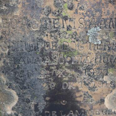 HUMAN Johanna Sophia 1907-1918