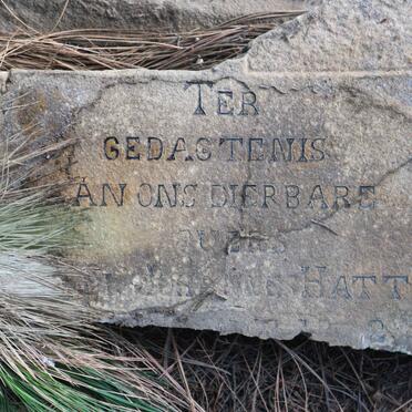 HATTINGH Johannes &amp; Cornelia ?arina Johanna 1843-1903