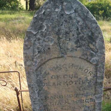 HIGGS Harry Neville 1849-1921 &amp; Maria M. -1953 :: WELSFORD Elizabeth nee HIGGS -1921