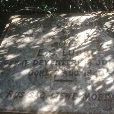 LUBBE E.C. nee v. DEVENTER 1877-1949