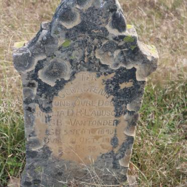 LABUSCHAGNE Cornelia D.R. nee VAN TONDER 1890-1918