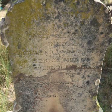 MEYBURG Magdalena W.A.