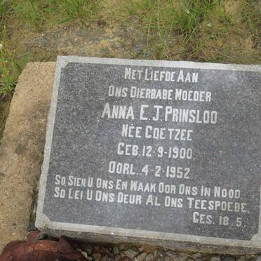 PRINSLOO Anna E.J. nee COETZEE 1900-1952