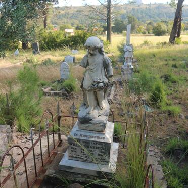 SWANEPOEL Willie 1910-1924