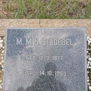STROEBEL M.M.S. 1877-1955