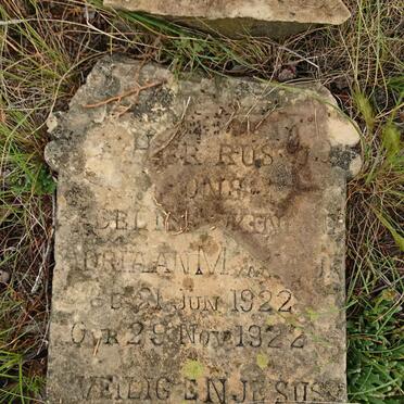 WIJK Adriaan M., van 1922-1922