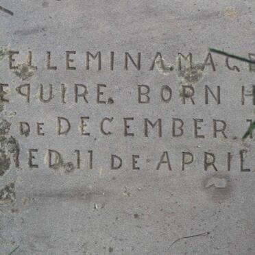 ? Willemina Magdale? nee HERS 1861-1912