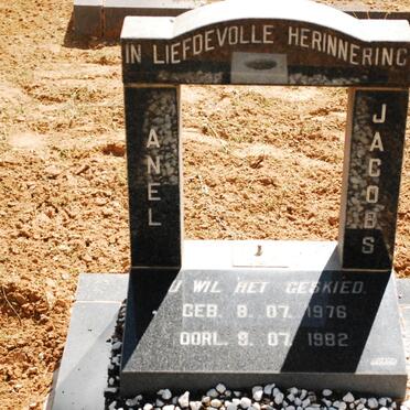 JACOBS Anel 1976-1982