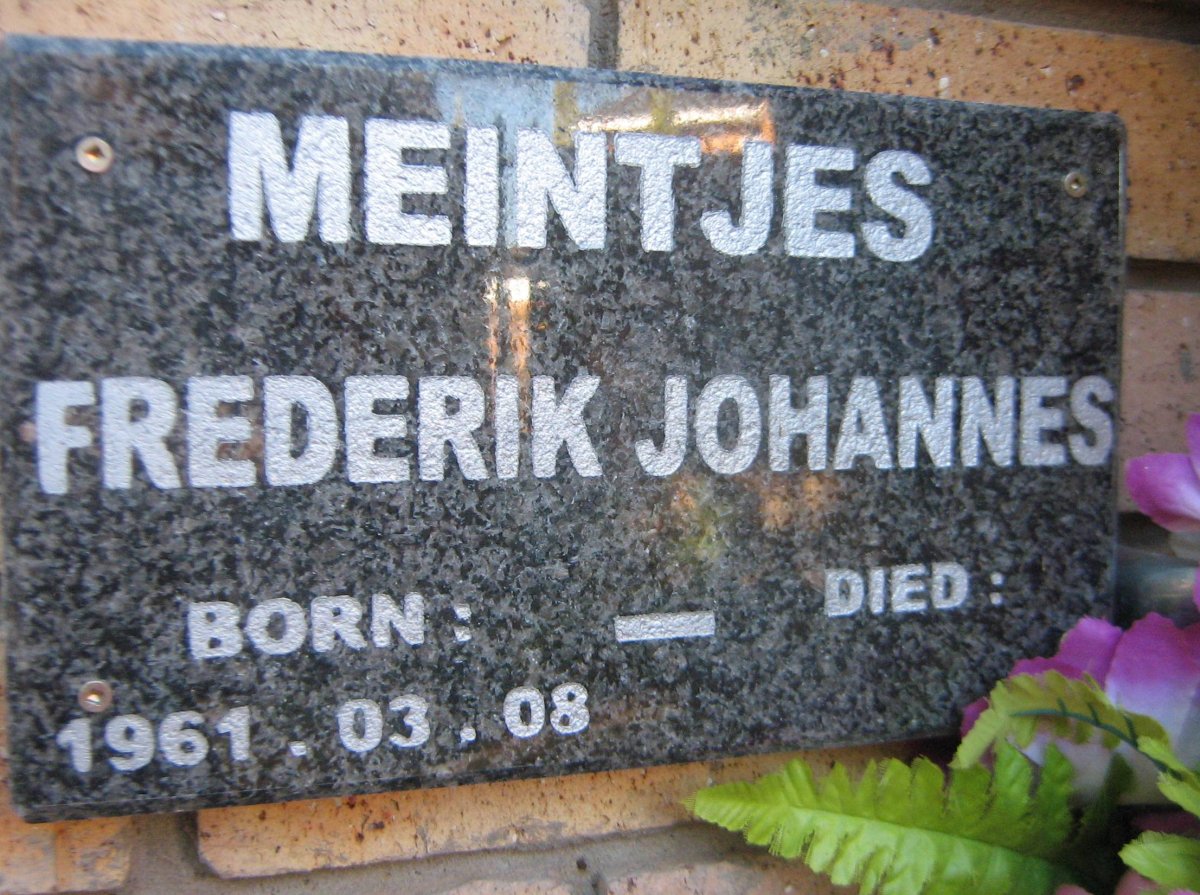 MEINTJES Frederik Johannes 1961-