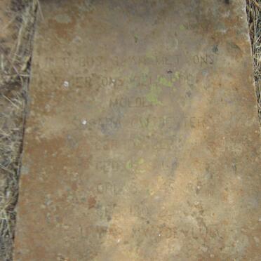 BESTER Susara C.W. nee DE KLERK 1864-1945