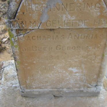 BEER Zacharias Andrias, de 1846-1929