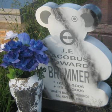 BRUMMER Jacobus Edward 2006-2006